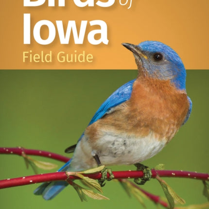 Birds of Iowa Field Guide