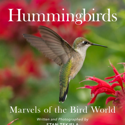 Hummingbirds: Marvels of the Bird World