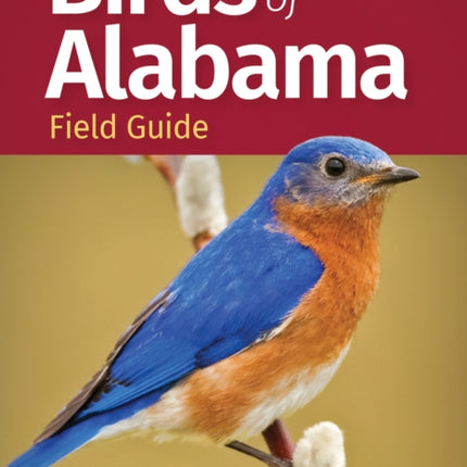 Birds of Alabama Field Guide