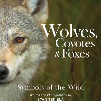 Wolves, Coyotes & Foxes: Symbols of the Wild