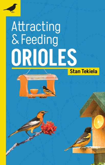 Attracting & Feeding Orioles