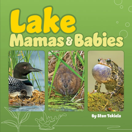 Lake Mamas and Babies