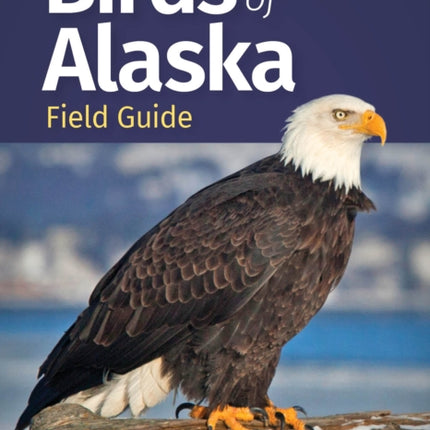 Birds of Alaska Field Guide