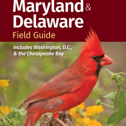 Birds of Maryland & Delaware Field Guide: Includes Washington, D.C., and Chesapeake Bay