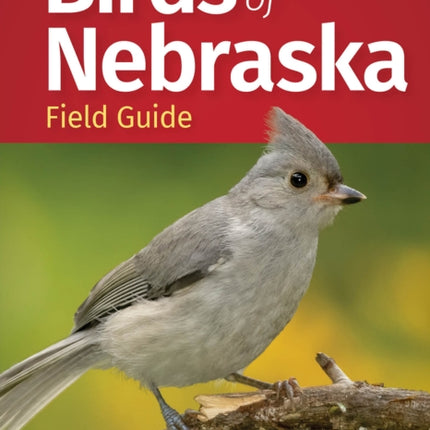 Birds of Nebraska Field Guide