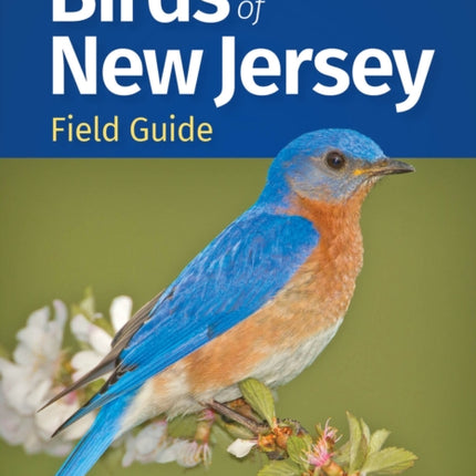 Birds of New Jersey Field Guide