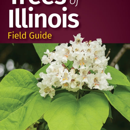 Trees of Illinois Field Guide