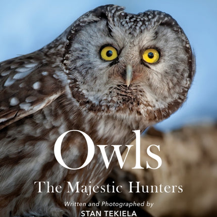 Owls: The Majestic Hunters