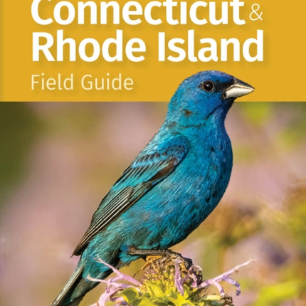 Birds of Connecticut Field Guide