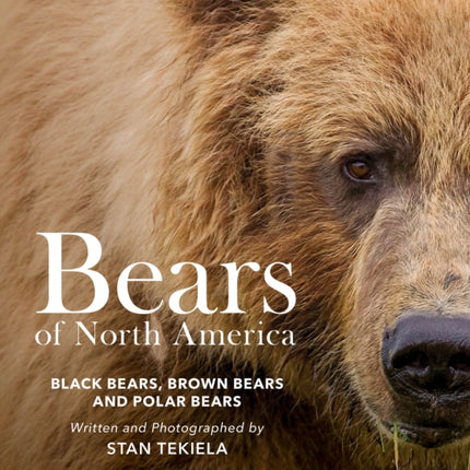 Bears of North America: Black Bears, Brown Bears, and Polar Bears