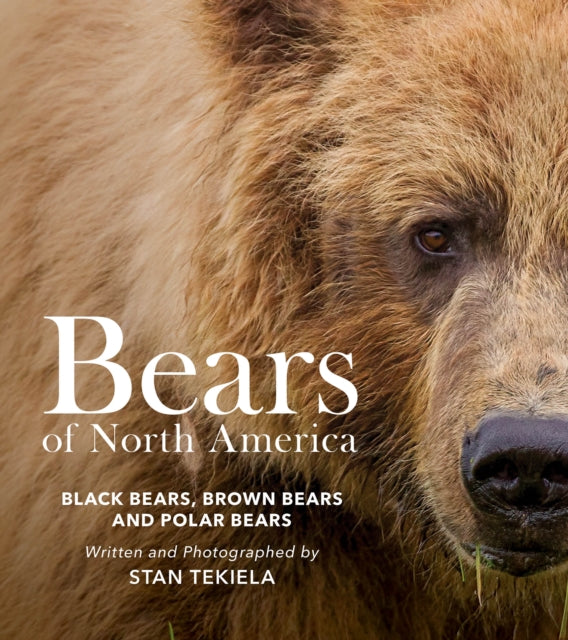 Bears of North America: Black Bears, Brown Bears, and Polar Bears