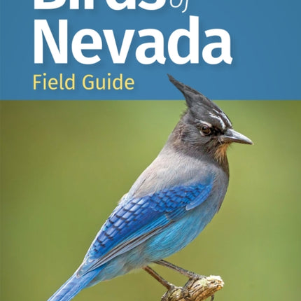 Birds of Nevada Field Guide