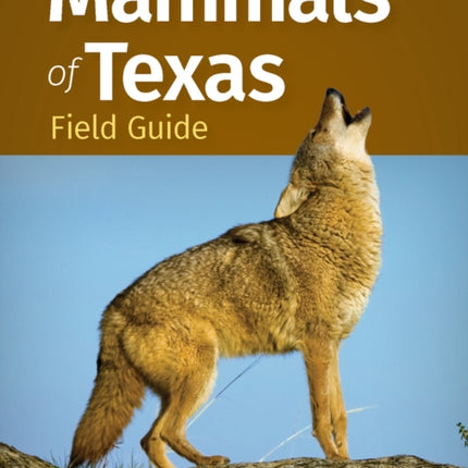 Mammals of Texas Field Guide