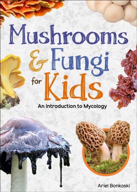 Mushrooms  Fungi for Kids