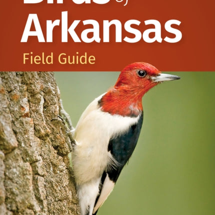 Birds of Arkansas Field Guide