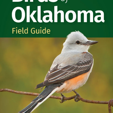 Birds of Oklahoma Field Guides