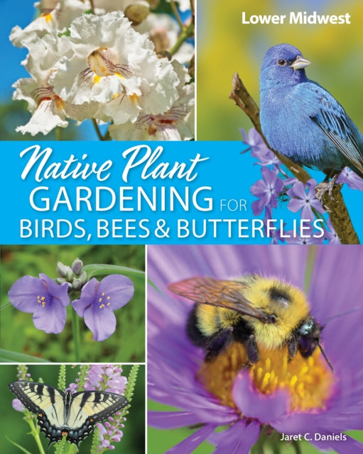 Native Plant Gardening for Birds Bees  Butterflies Lower Midwest