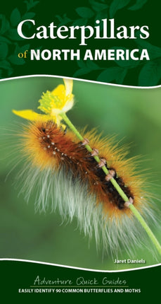 Caterpillars of North America