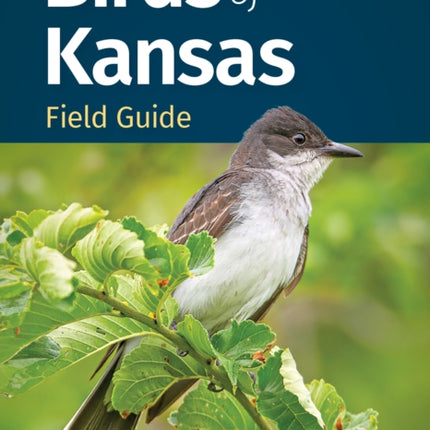 Birds of Kansas Field Guide