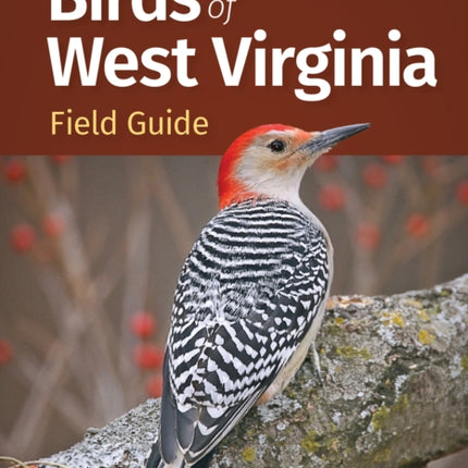 Birds of West Virginia Field Guide