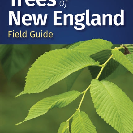 Trees of New England Field Guide