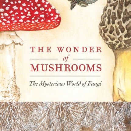 Wonder of Mushrooms