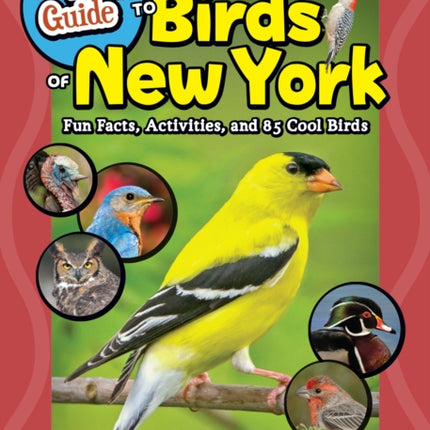 Kids Guide to Birds of New York