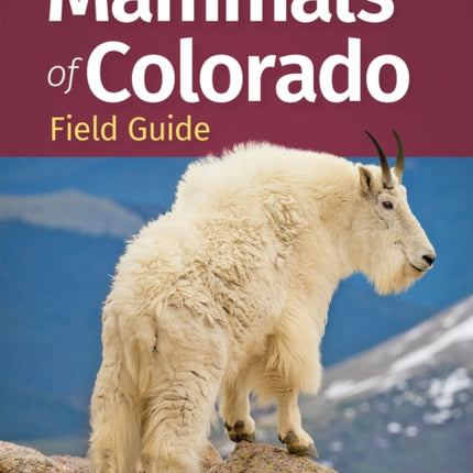 Mammals of Colorado Field Guide