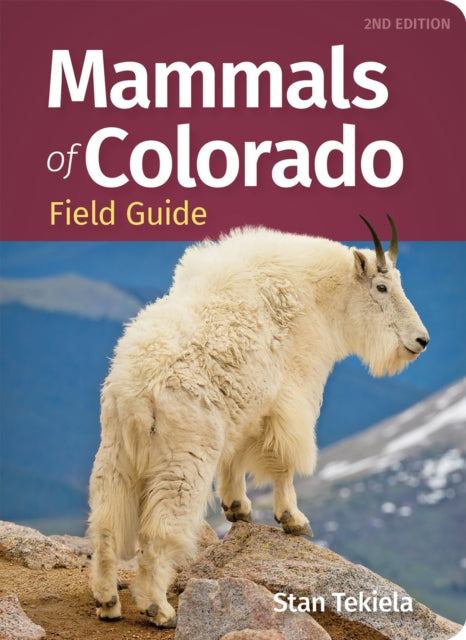 Mammals of Colorado Field Guide