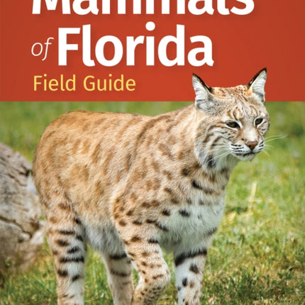 Mammals of Florida Field Guide
