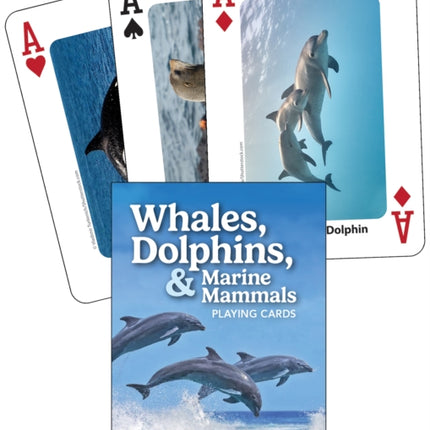 Whales Dolphins and Marine Mammals Playing Cards