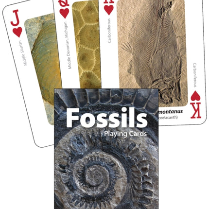 Fossils Playing Cards