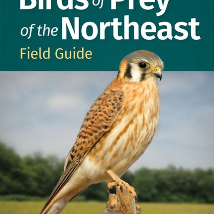 Birds of Prey of the Northeast Field Guide