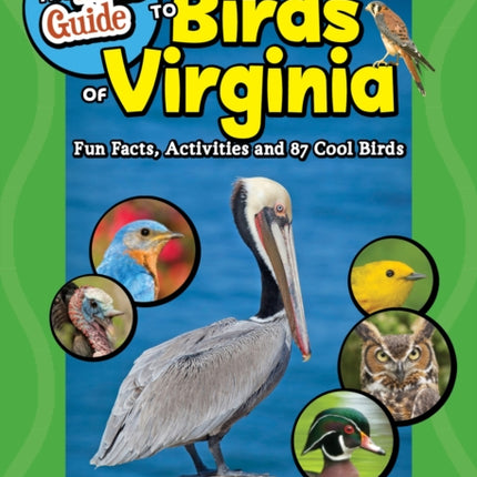 The Kids Guide to Birds of Virginia