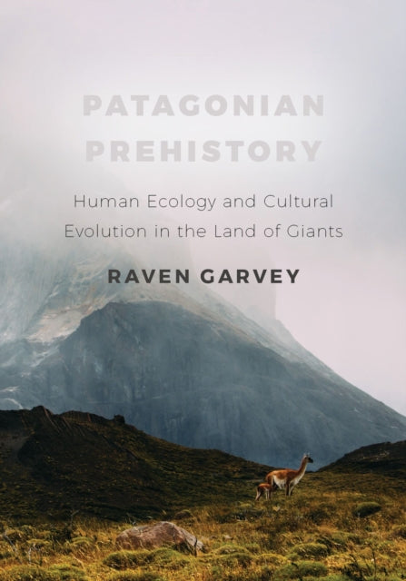 Patagonian Prehistory: Human Ecology and Cultural