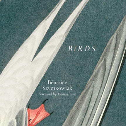 B/RDS