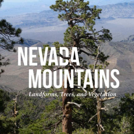Nevada Mountains