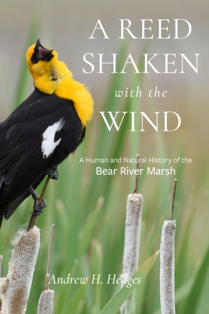 A Reed Shaken with the Wind  A Human and Natural History of the Bear River Marsh