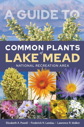 A Guide to Common Plants of Lake Mead National