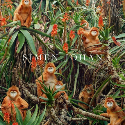 Simen Johan