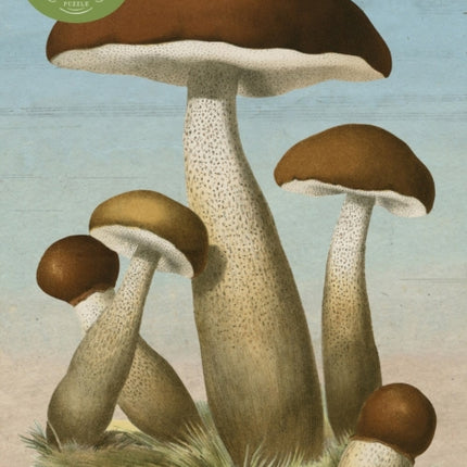 John Derian Paper Goods Mushrooms 1000Piece