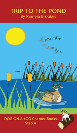 Trip To The Pond Chapter Book: Sound-Out Phonics
