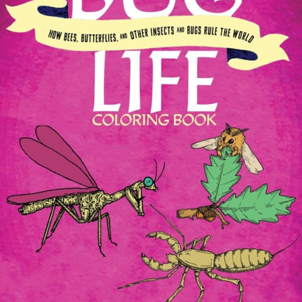 Bug Life Coloring Book