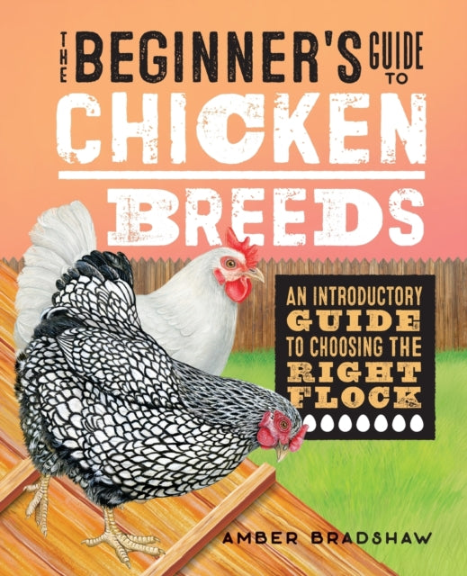 The Beginner's Guide to Chicken Breeds: An