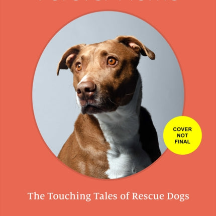 Forever Home: The Inspiring Tales of Rescue Dogs