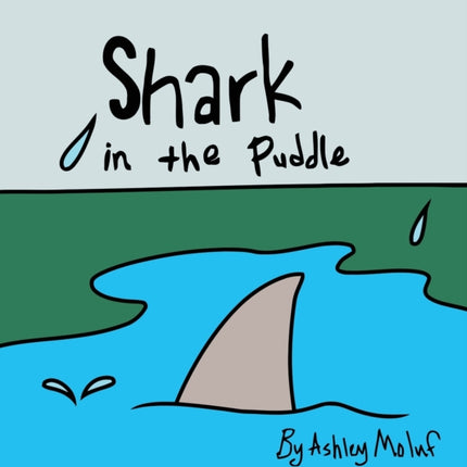 Shark in the Puddle