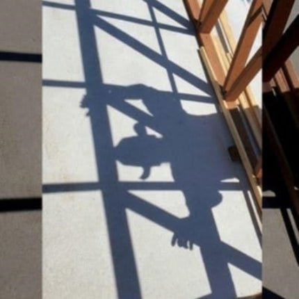 Observations and Commentary: One Hundred Poems