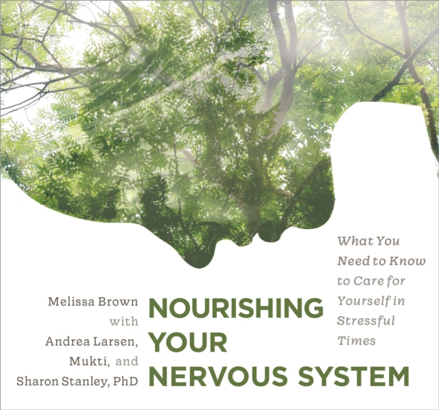 Nourishing Your Nervous System: What You Need to