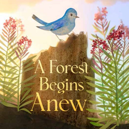 A Forest Begins Anew