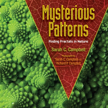 Mysterious Patterns: Finding Fractals in Nature